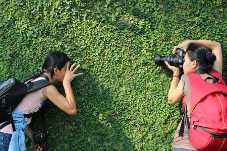 Image of people taking photos in front of a leaf-covered wall.